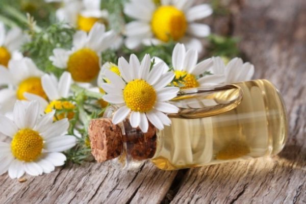 Tinh dầu trị mụn từ hoa cúc serum