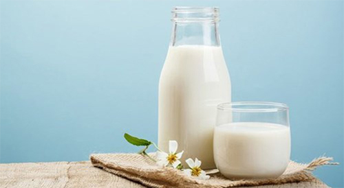 Sữa tươi có tác dụng dưỡng trắng, nuôi dưỡng tốt cho làn da