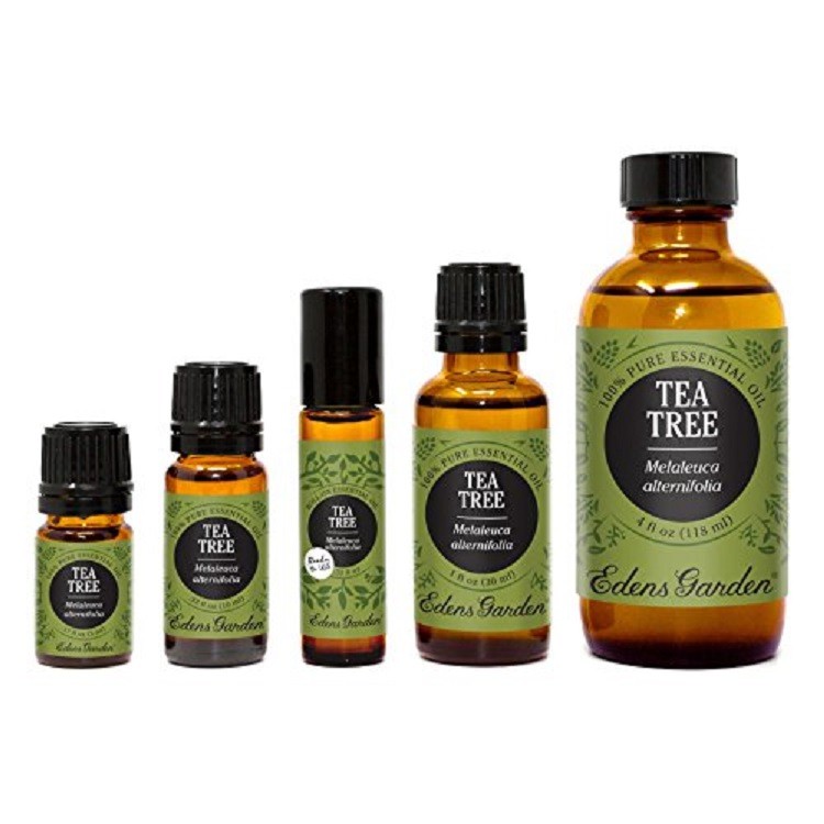 Tinh dầu tràm trà Lemon Tea Tree Essential Oil của Edens garden face