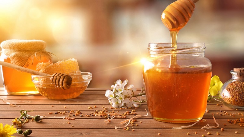 Mật ong nằm trong top những nguyên liệu có tác dụng trị mụn hiệu quả cao