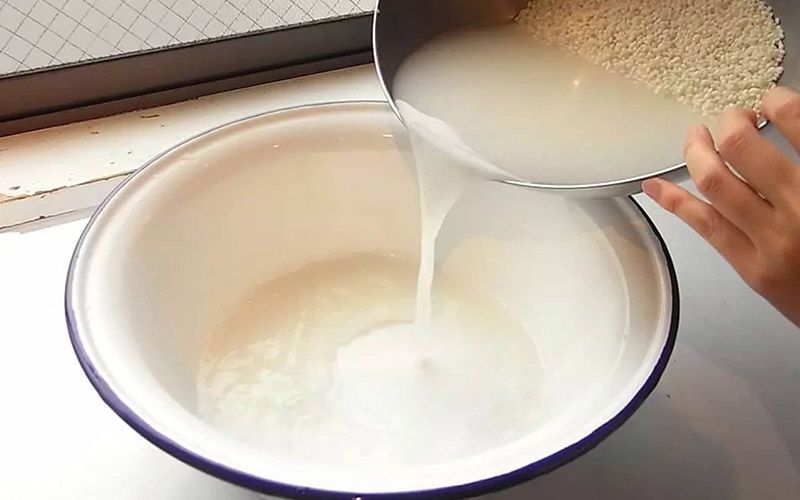 Nước vo gạo chứa những dưỡng chất tuyệt vời cho làn da regenerative medicine