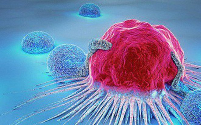 Bệnh ung thư thứ 2: Những điều cần biết | Vinmec adapalene clindamycin phosphate gel klenzit