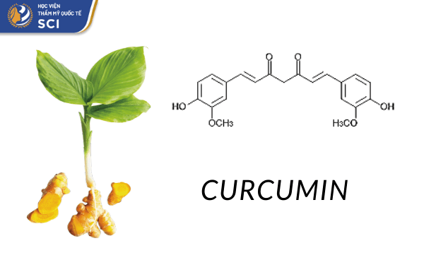 Curcumin được mệnh danh là "thần dược" trị mụn
