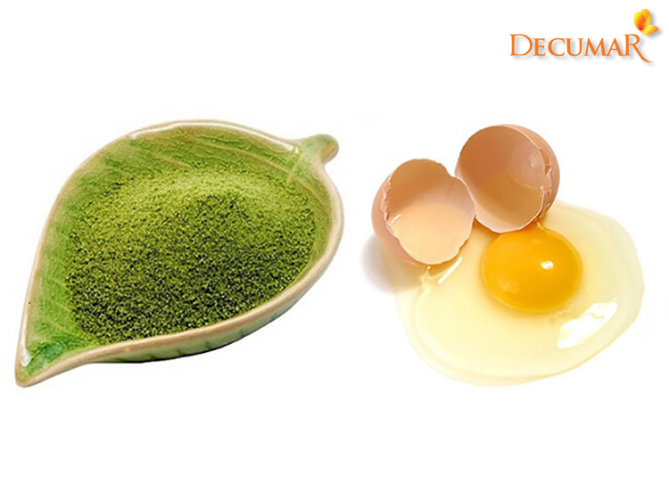 Mặt nạ trà xanh và trứng gà là công thức điều trị mụn ẩn cũng như cung cấp đầy đủ dưỡng chất cho da