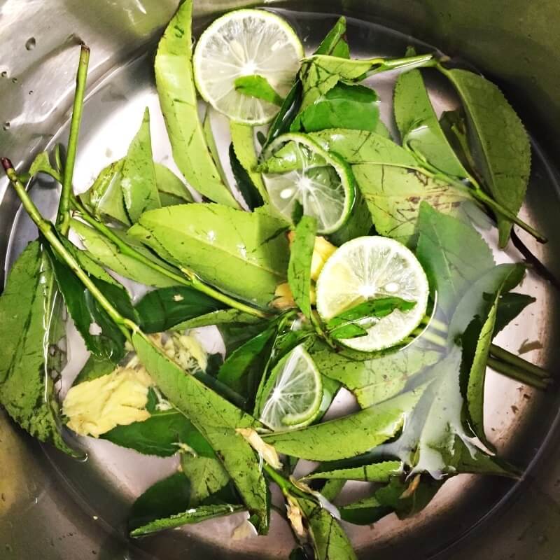 Lá trà xanh sở hữu thành phần EGCG có tác dụng kháng viêm, diệt khuẩn, hỗ trợ trị mụn